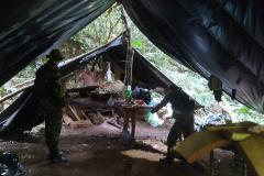 Instituto Água e Terra (IAT) e Batalhão de Polícia Ambiental - Força Verde desmobilizaram um acampamento de caçadores que funcionava dentro do Parque Estadual Pico do Marumbi.