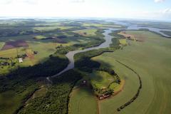 Com foco na valorização de boas práticas ambientais, Selo Clima Paraná 2024 vai ocorrer em dezembro