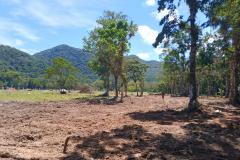 Instituto Água e Terra alerta para golpe do licenciamento ambiental no Litoral do Paraná
