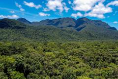 Estado atualiza procedimentos do ICMS Ecológico; 59% das cidades recebem o benefício