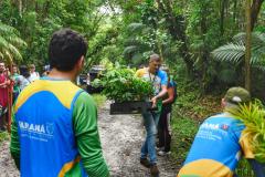 Voluntários participaram da ação de educação ambiental no Parque Estadual do Palmito, em Paranaguá, no Litoral do Paraná