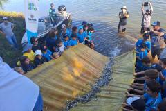 Ação de soltura de 50 mil peixes nativos na represa de Salto Osório, no Rio Iguaçu, no município de Sulina.