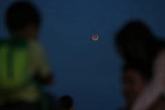 Fã de astronomia? Descubra onde será possível ver a "Lua de Sangue" nesta madrugada