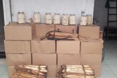 IAT apreende 318 quilos de palmito industrializado de maneira clandestina