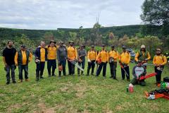 Ação coordenada pelo IAT e pela Iniciativa Campos Gerais promoveu o corte de pinus no Parque Estadual do Vale do Codó, em Jaguariaíva