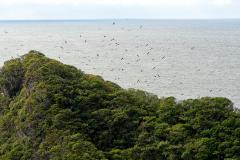 Semana do Meio Ambiente: 5 motivos que fazem do Paraná o estado mais sustentável do País