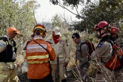 IAT promove restauração ambiental do Parque do Cerrado por meio da queima controlada