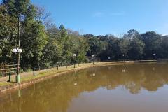 Natureza em Mato Rico (PR)