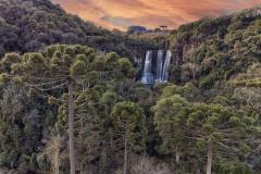Conferência da Mata Atlântica vai aprofundar discussões sobre clima e economia verde