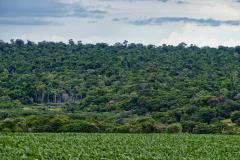 Ranking de Competitividade dos Estados: Paraná lidera combate ao desmatamento e reciclagem