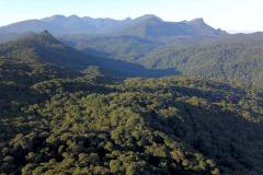 Conferência da Mata Atlântica debaterá enfrentamento às mudanças climáticas