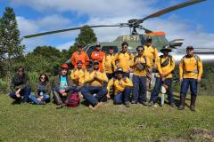 Ação do IAT e Iniciativa Campos Gerais limpa 15 hectares do Parque Pico Paraná