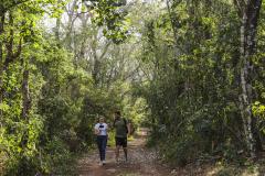 Mata dos Godoy: refúgio em meio à natureza na região Norte do Paraná