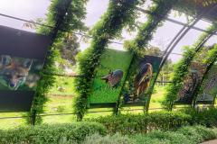 Exposição “Fauna da Mata Atlântica” entra em cartaz no Jardim Botânico de Curitiba