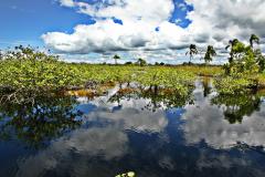 Comitês de Bacias Hidrográficas do Paraná definem planejamento para 2026