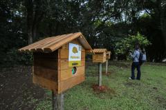 MON recebe três casas de abelhas nativas sem ferrão do Projeto Poliniza Paraná