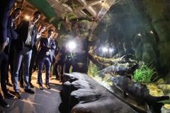 Novo atrativo: Foz do Iguaçu ganha um dos maiores aquários da América do Sul