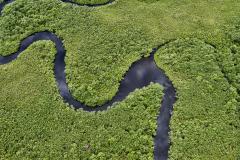 Com tecnologia e fiscalização, Paraná reduz desmatamento de maneira consistente