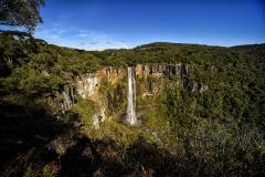Trilhas do Salto São Francisco serão fechadas temporariamente para remoção de espécies exóticas