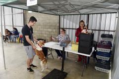 CastraPet leva saúde e bem-estar a cães e gatos da Região Metropolitana de Curitiba