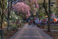 Semana deve ser de muito calor no Paraná com chuva no início do Carnaval