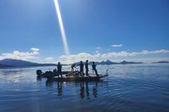 Período de Defeso da Piracema termina no domingo em todo o Paraná