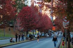 Outono começa na sexta com chuva acima da média e mais dias com amplitude térmica