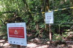 IAT e Polícia Militar multam 15 pessoas por acesso irregular ao Pico Paraná em um dia