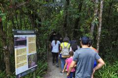 Parque Rio da Onça: um paraíso da Mata Atlântica encravado entre as praias do Paraná
