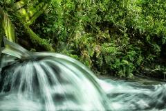 ICMS Ecológico: IAT prorroga prazo para municípios apresentarem relatórios