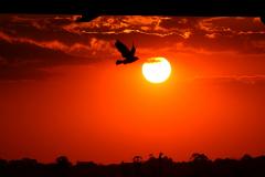 Com La Niña, verão 2025/2026 foi marcado por chuvas irregulares e temperatura de 39,7°C