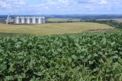 Paraná e entidades se unem para incentivar o Cadastro Ambiental Rural.Foto: Cleverson Beje/FAEP