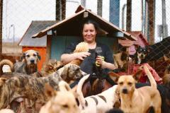 A Associação Defensora de Animais (ADA) de Londrina encontrou nos recursos do programa Nota Paraná uma forma de garantir o atendimento contínuo aos cerca de 600 cães e gatos da instituição. Foto: Acervo pessoal