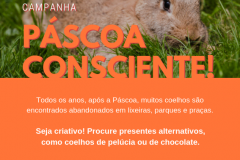 Campanha conscientiza sobre a compra de coelhos vivos na Páscoa
