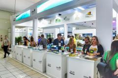 Paraná Turismo participa do Festival das Cataratas
