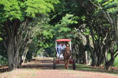 Turismo rural conquista visitantes em diversas regiões do Estado