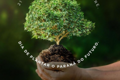Governo do Estado inicia programa de incentivo à arborização
