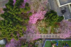 Primavera começa com temperatura amena e sem chuva no Paraná