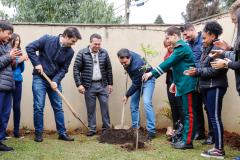 Paraná Mais Verde planta 413 mil árvores nativas