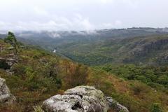 IAP monitora Reservas Particulares do Patrimônio Natural