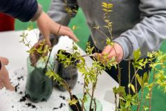 IAP vai participar do projeto Águas da Serra
