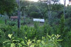Paraná ganha quatro novas áreas de uso sustentável