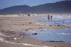 A Secretaria do Meio Ambiente e Recursos Hídricos promove, no próximo dia 20 de agosto, à partir das 9h, em Paranaguá a primeira Conferência Livre do Meio Ambiente sobre Lixo Marinho. O objetivo da Conferência é debater ações efetivas para solucionar o problema do lixo marinho e suas consequência para o turismo ecológico, para pesca e saúde humana. 
