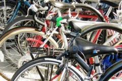No mês da bicicleta, Governo apresenta Programa Ciclo Paraná