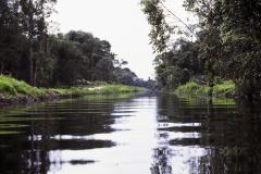 Cartilha destaca legado ambiental da Copa do Mundo