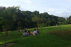 Famílias e turistas aproveitam o Jardim Botânico de Londrina