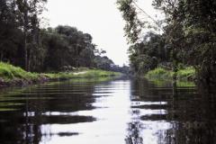 A Secretaria Estadual do Meio Ambiente e Recursos Hídricos obteve a aprovação, pelo Conselho Estadual de Recursos Hídricos, de R$ 4,5 milhões que serão investidos em medidas voltadas à segurança hídrica no Paraná - manutenção da quantidade e qualidade da água. Foto: Dennis Ferreira Neto