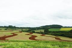 Programa de Gestão de Microbacias no município de Dois Vizinhos: Manejo adequado do solo garante maior produtividade nas lavouras.Foto: SEAB/Reg Dois Vizinhos