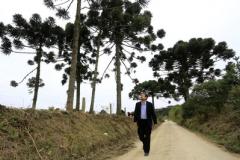 ESTRADAS COM ARAUCÁRIAS.  N/F: Edilson Batista, presquisador da Embrapa.Lapa, 25-06-15.Foto: arnaldo Alves / ANPr.