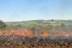 O Corpo de Bombeiros do Paraná ministra nesta semana no Parque Estadual de Vila Velha, em Ponta Grossa, treinamento sobre combate a incêndios florestais e uso da queima controlada. Foto: IAP